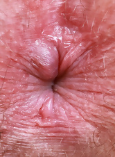 Nude Slim Babe Hairy Pussy Spread Pose Pics